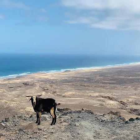 빌라 Y El Sultan *